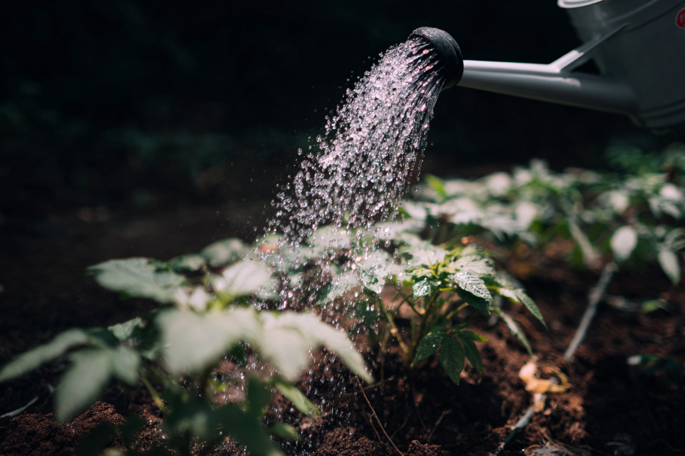 39d5f45aaba61b96269ec2b1bef3a28f 1762501962 8415 39d5f45aaba61b96269ec2b1bef3a28f 1762501962 8415